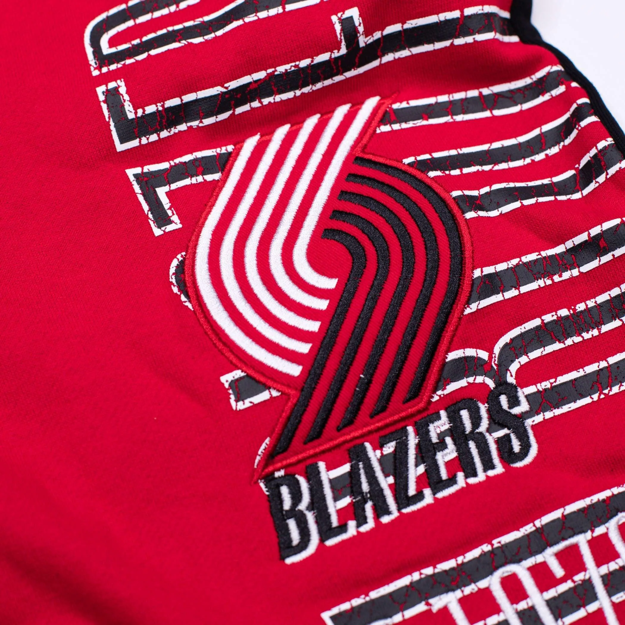 Mitchell & Ness Team OG Fleece Pants - Image 5