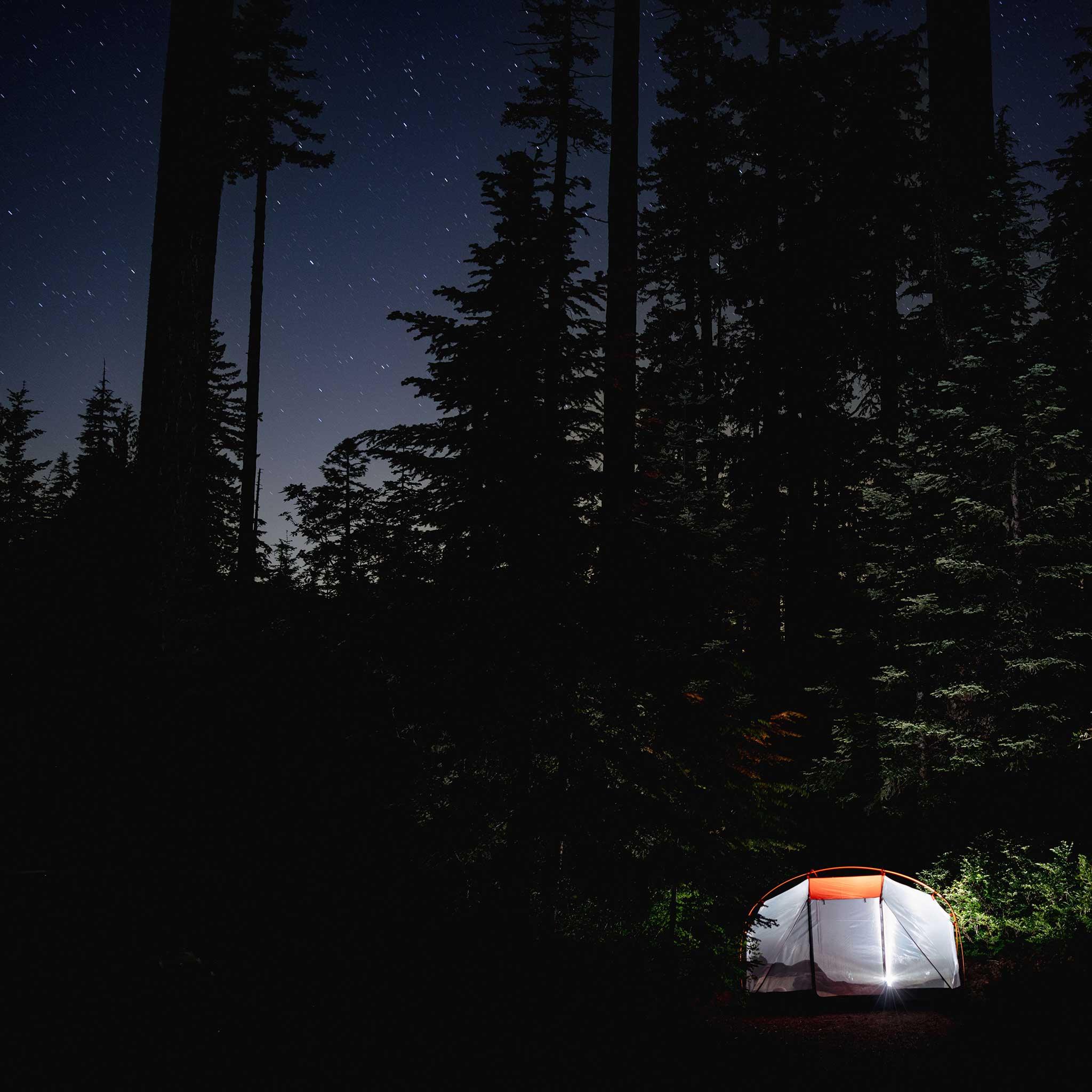 Trail Blazers x Poler Tent - 2+ Person