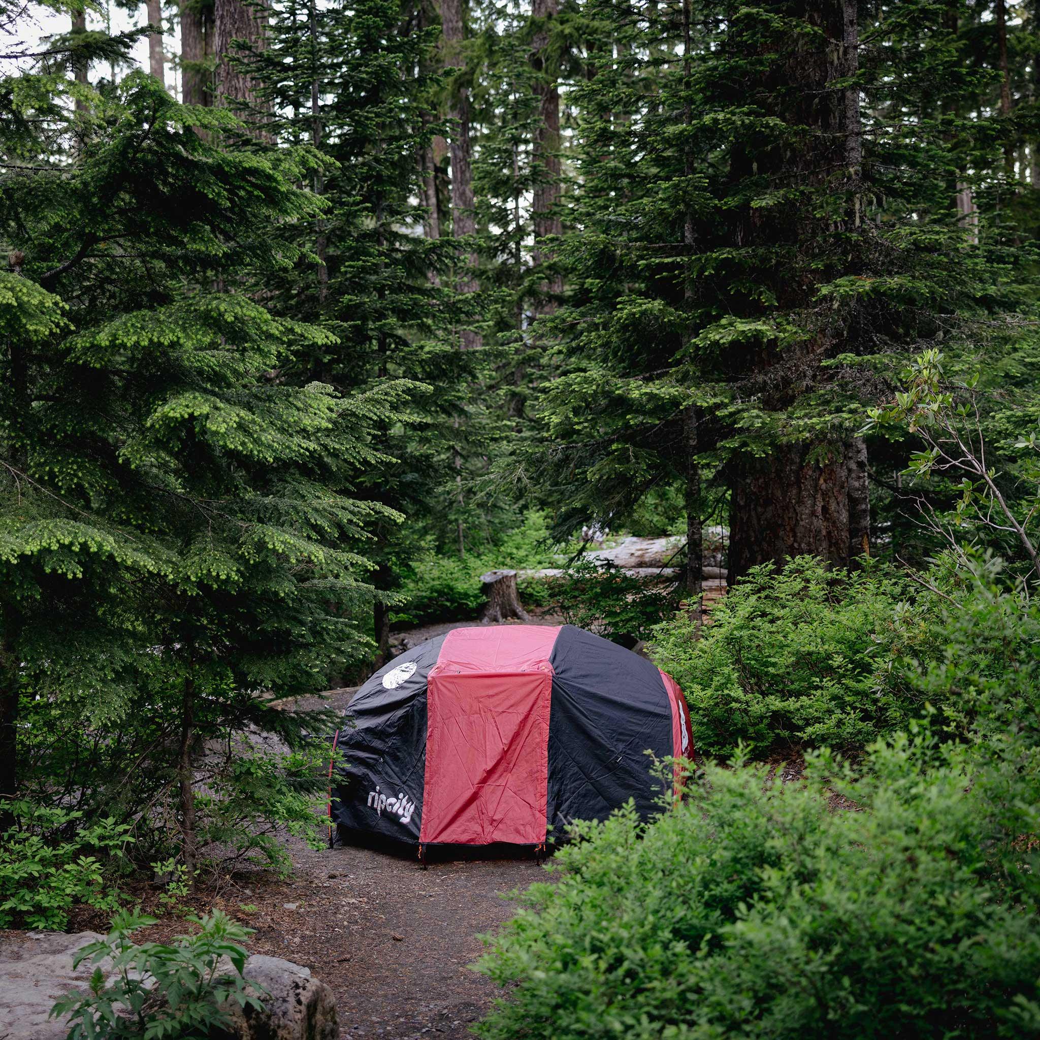 Trail Blazers x Poler Tent - 2+ Person - Image 8